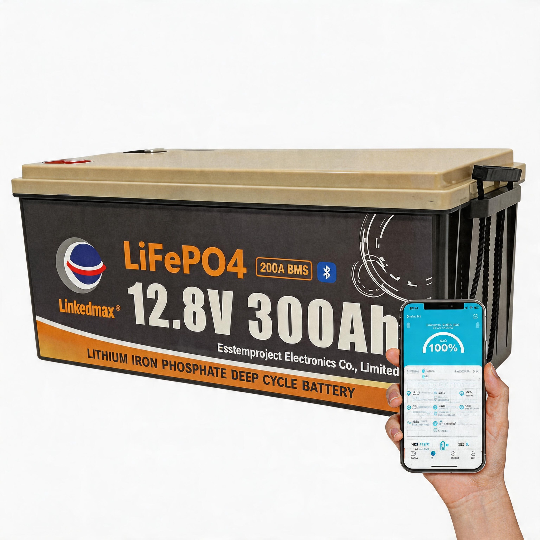 LiFePO4 battery
