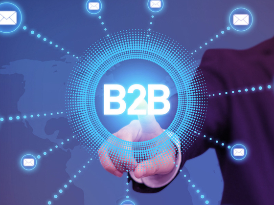 Phát triển trang web thương mại điện tử B2B