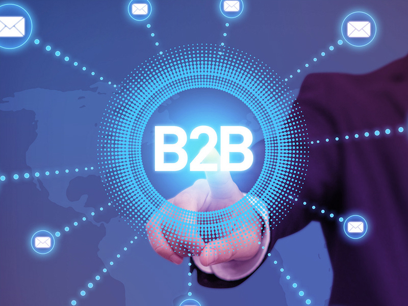 Pembangunan Laman Web E-dagang B2B