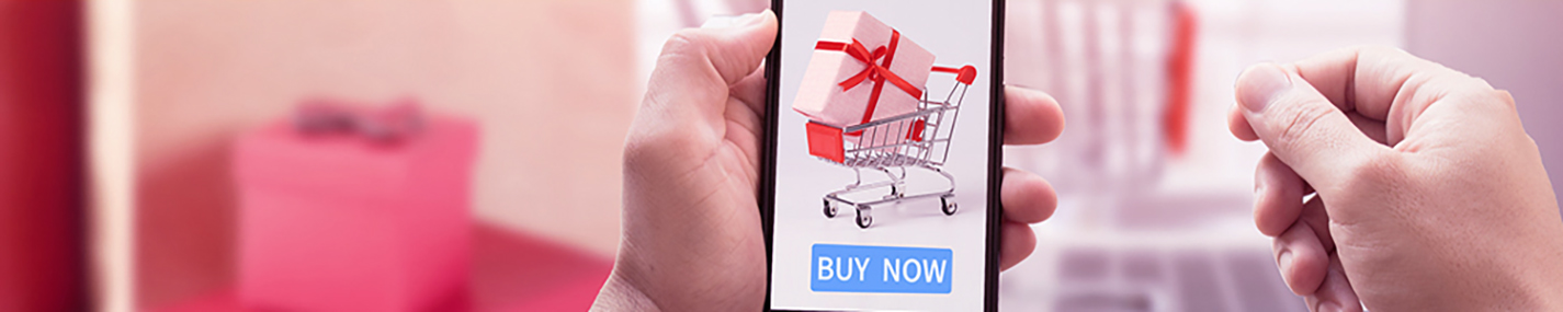 Promotional e-commerce development