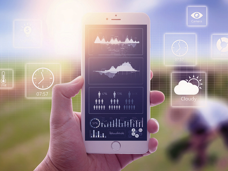 Dezvoltarea sistemului de internet al lucrurilor în agricultură