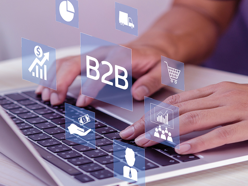 Phát triển phần mềm thông tin chuỗi cung ứng B2B