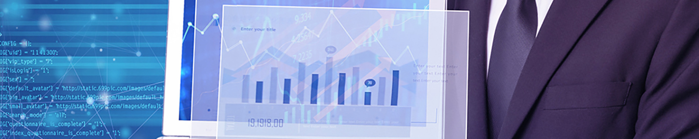 Inventory data analysis system customization