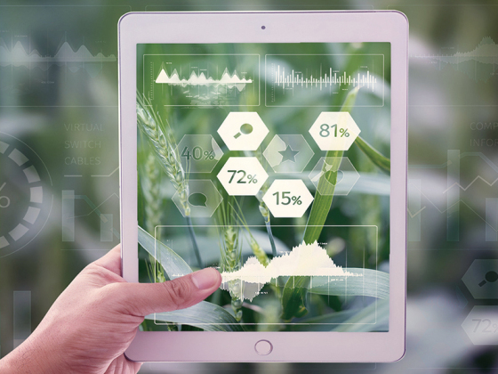 Dezvoltarea de sisteme SaaS bazate pe aplicații agricole