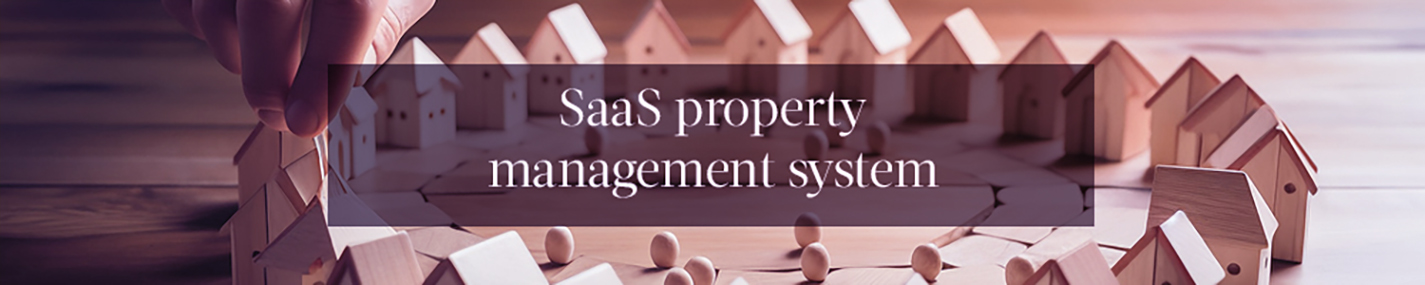 SaaS application system development