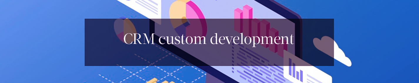 CRM custom development