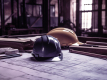 Construction And Engineering ERP System Development