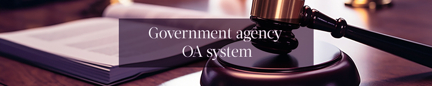 Government agency OA system