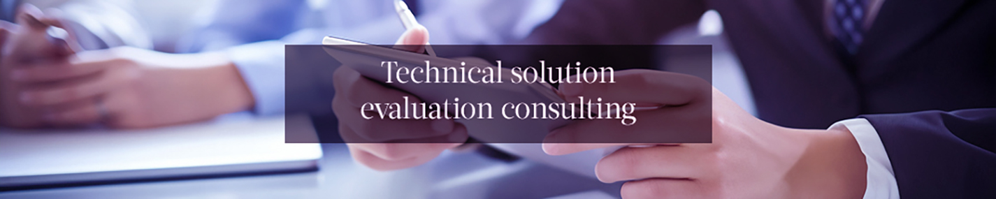 Technology selection consulting services