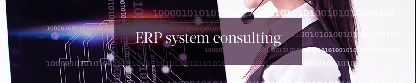 ERP system consulting