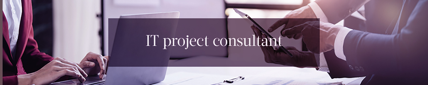 IT project consultant