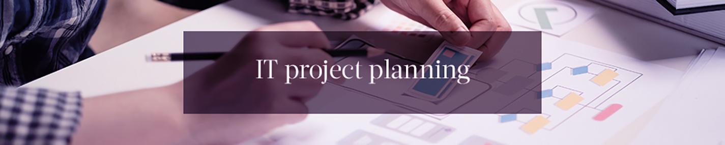 IT project consulting