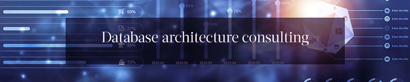 Database architecture consulting