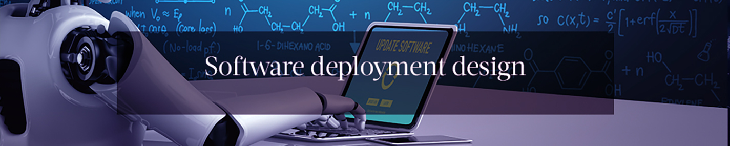 Software deployment consulting