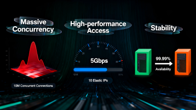 Elastic Public IP (EIP)