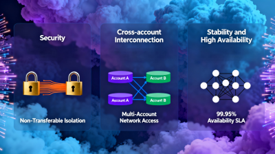 Multi-Network Interconnection