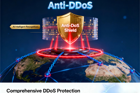 Anti-DDoS