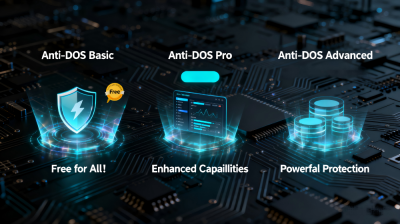 DDoS Protection (Anti-DDoS)