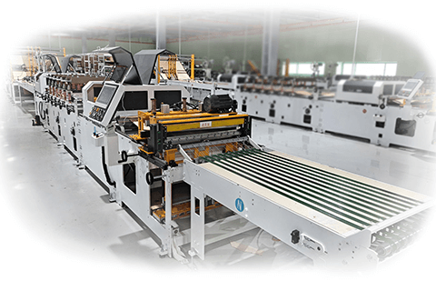 Setting Up Padded Mailer Factory In Korea