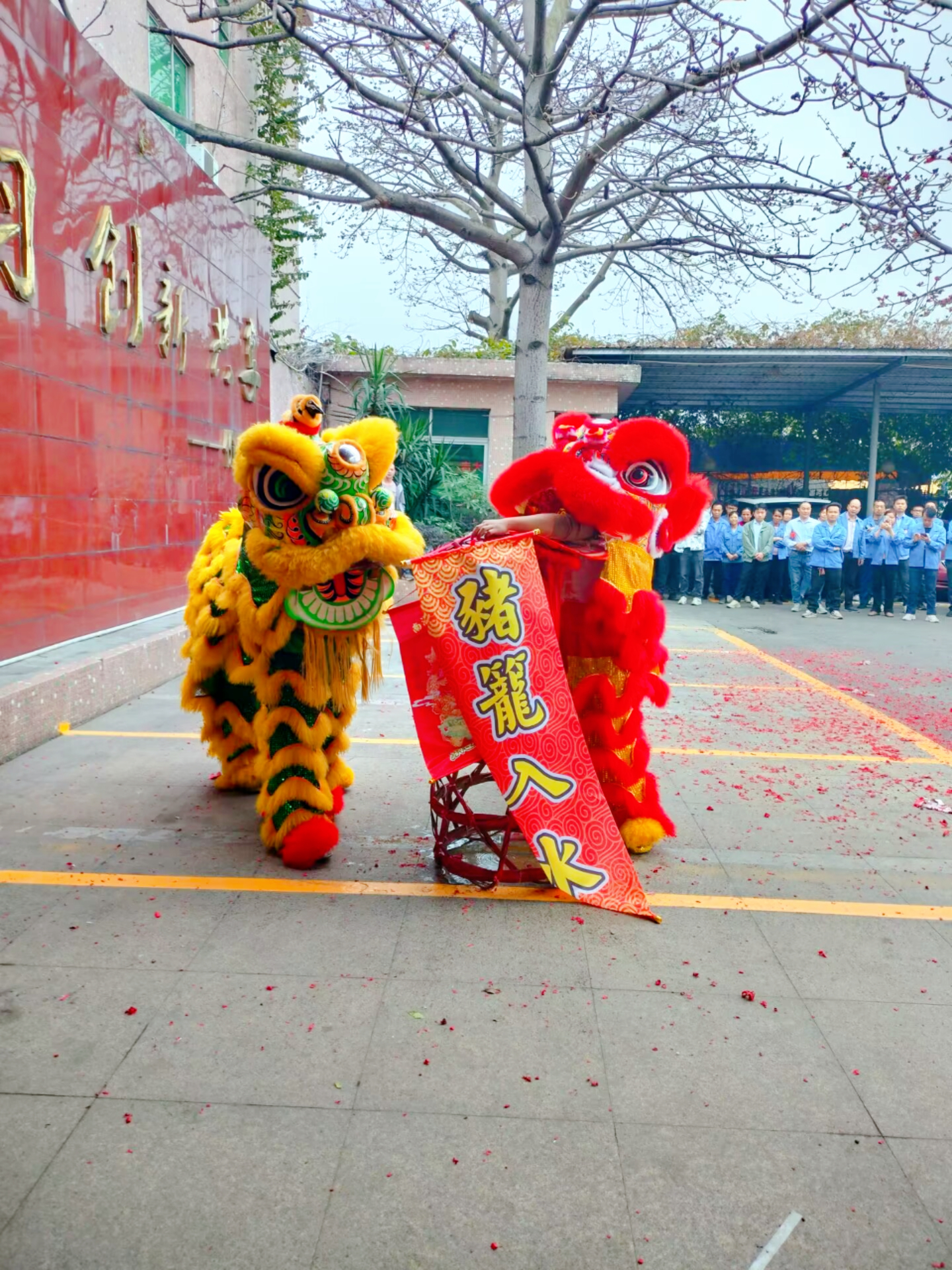 Dragon Year