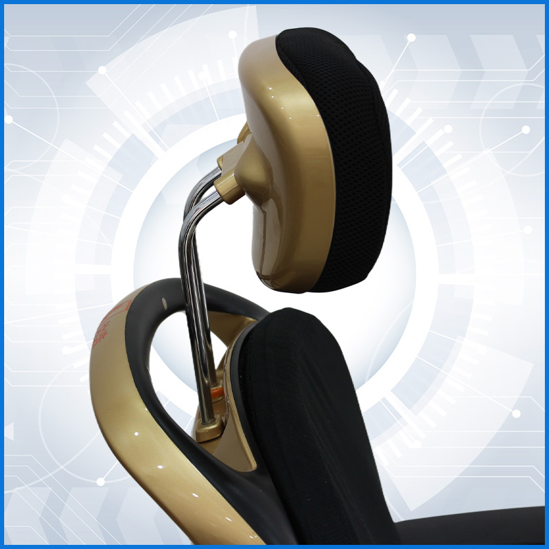 Luxury electric wheelchair with massage