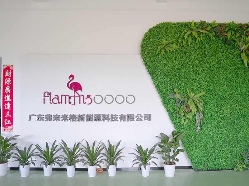 Giới thiệu văn phòng Flamingo