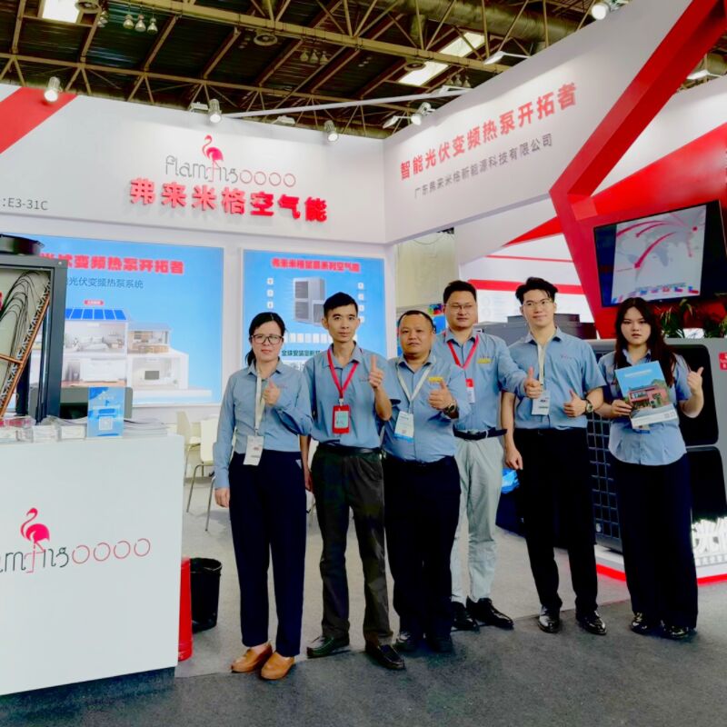 مضخة فلامنغو الحرارية للتكنولوجيا الجديدة في معرض العش في بكين