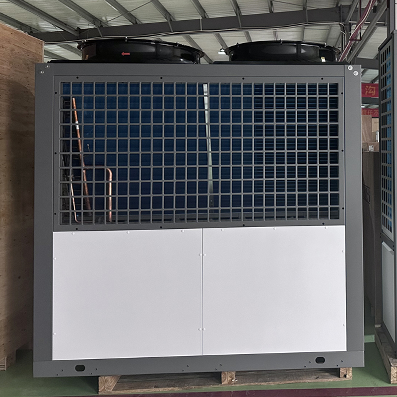 Pompa di calore commerciale Flamingo New Energy, leader nella trasformazione dell'efficienza energetica del settore