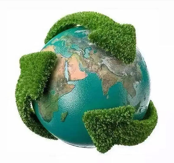 Focus on a green industry