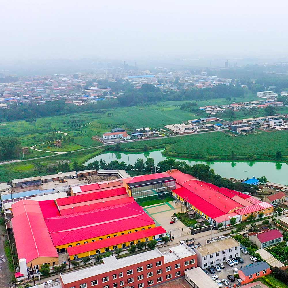 Liaoning Smile Technology Co., Ltd.