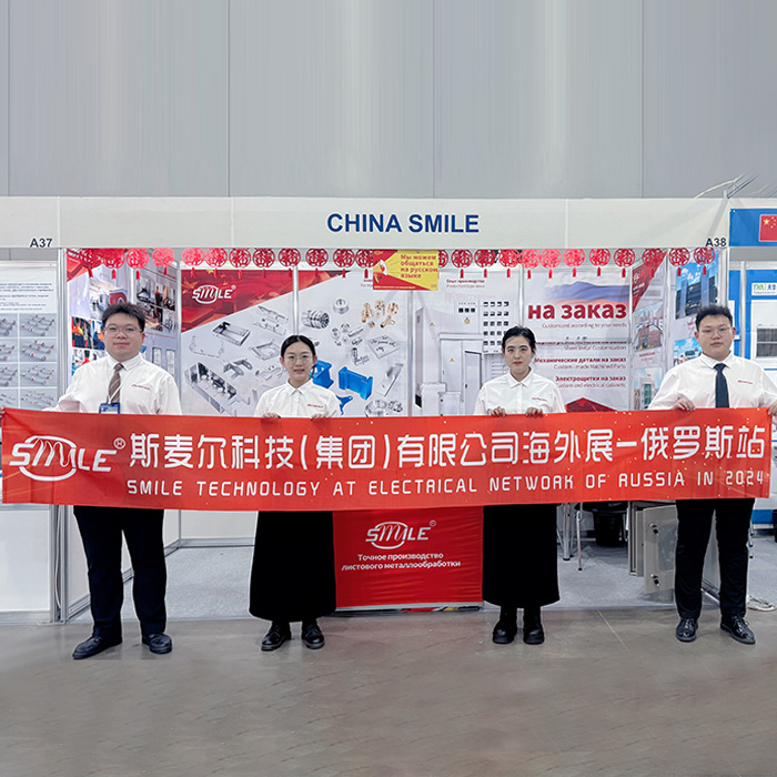 CHNSMILE en Redes Eléctricas de Moscú de Rusia