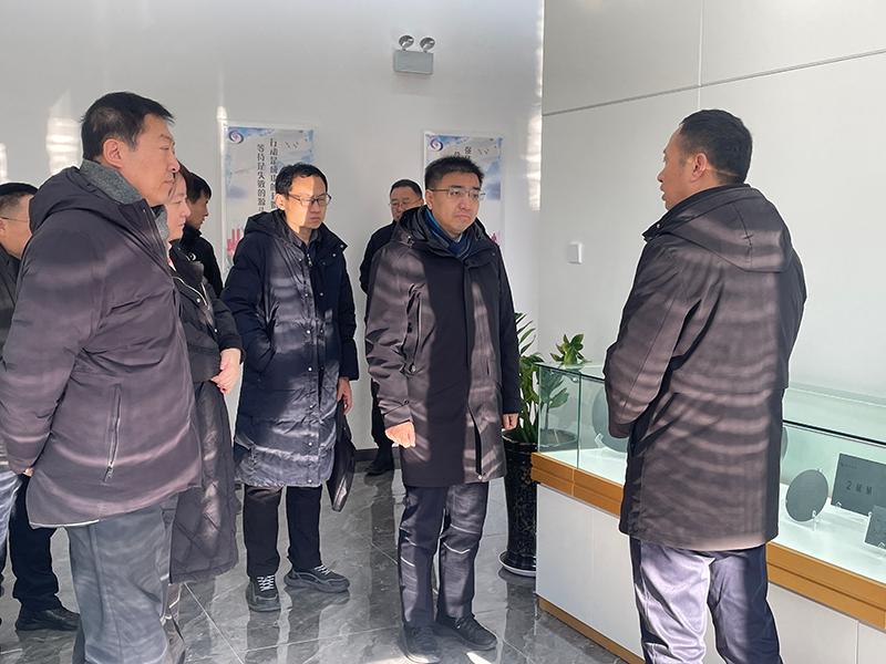 Government Cooperation Projects