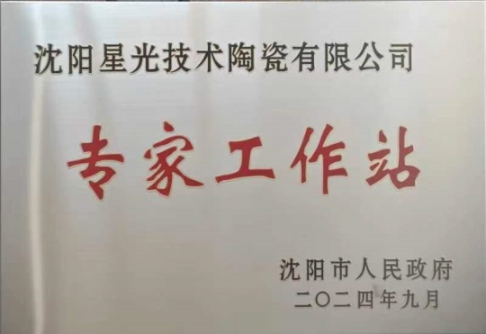 Shenyang Expert Workstation Construction Enters High-quality Development Stage