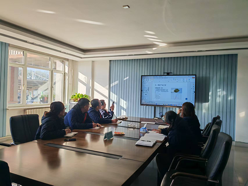 silicon carbide silicon carbide