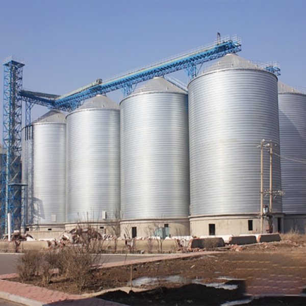 Silo hạt Lipp