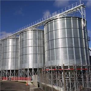 Spiral Bite Type Lipp Silo: Innovation Sa Modern Storage Solutions