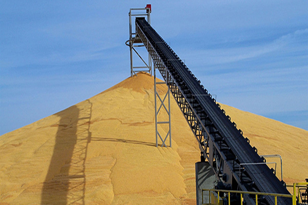 Convoyeur à bande à rouleau unique pour grains, révolutionne la manière de se déplacer