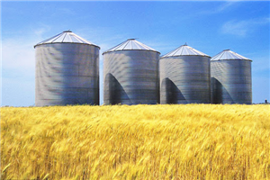 Anong mga Field ang Pinalakas na Panlabas na Spiral Steel Silo na Ginagamit?