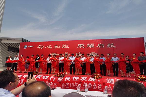 Completed A New Project Construction