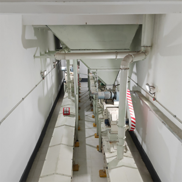 Nos produits brillent sur le marché américain