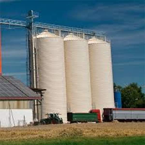 Grain Lipp Silo