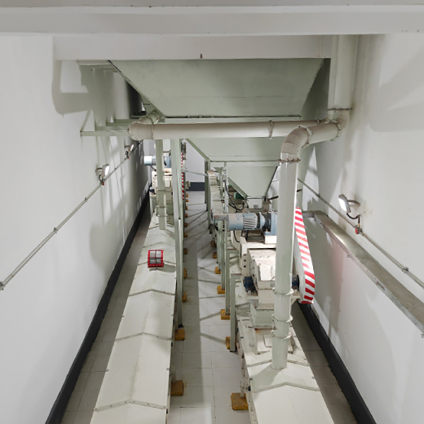 Deux problèmes majeurs liés aux convoyeurs à bande à grains et comment les éviter