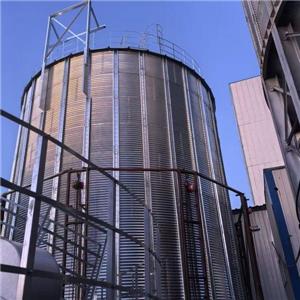 Projek Tangshan Wellhope: Steel Silo Hampir Siap Dalam Hanya Satu Minggu