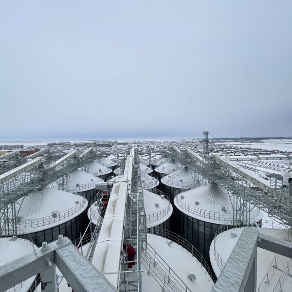 Belt Conveyors Revolutionize Grain Transportation and Storage in Modern Agriculture