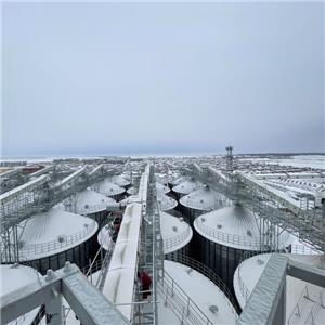 Penghantar Tali Pinggang Merevolusikan Pengangkutan dan Penyimpanan Bijirin dalam Pertanian Moden