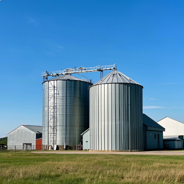 Lipp Type Steel Silos by Qiushi: Transforming Storage Solutions
