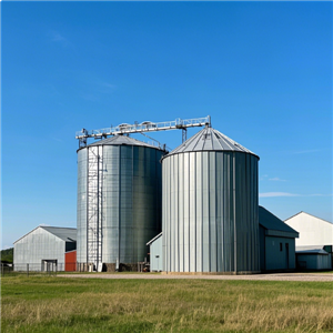 Lipp Type Steel Silos ni Qiushi: Transforming Storage Solutions