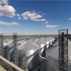 Inovasi dalam Penyimpanan Bijian: Mengubah Keselamatan dan Kemampanan Makanan