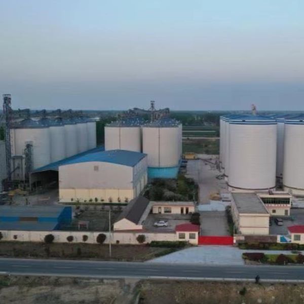 Which Modular Steel Structure Supplier Should You Choose?