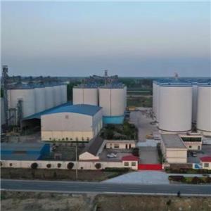 Pembekal Struktur Keluli Modular Mana Yang Perlu Anda Pilih?